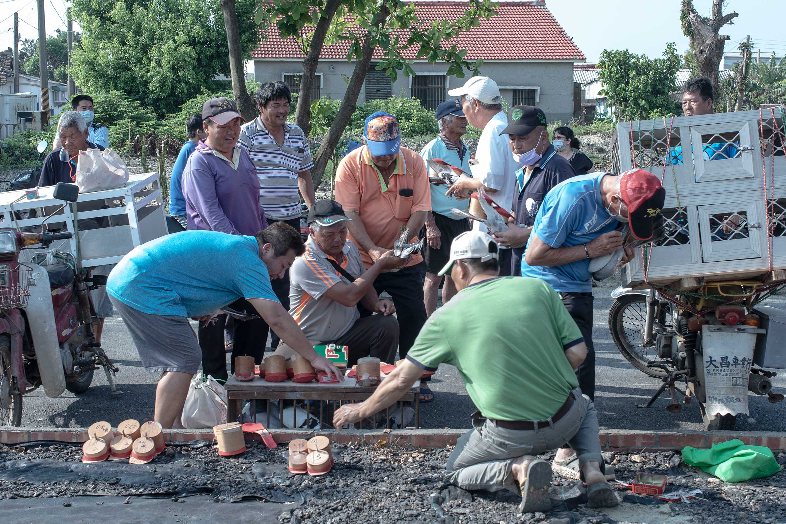 ハト、鴿笭、地方の民俗